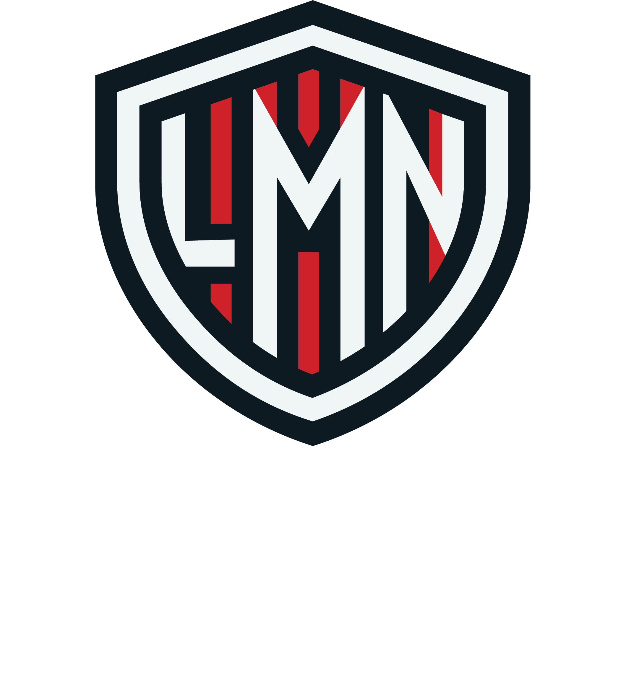 LMN Security Logo